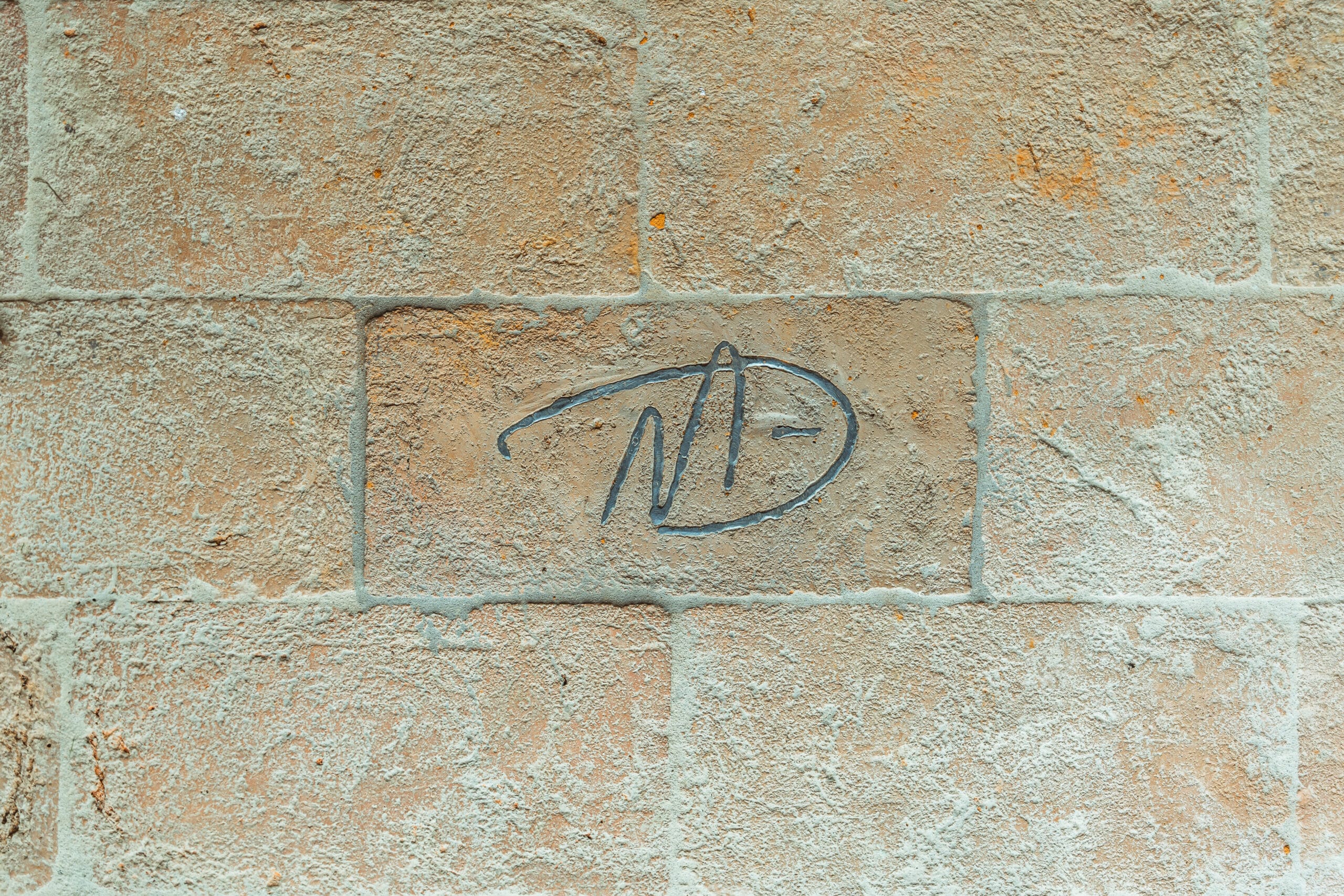 Dettaglio Esterno 1